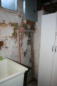 leaky basement mold and mildew